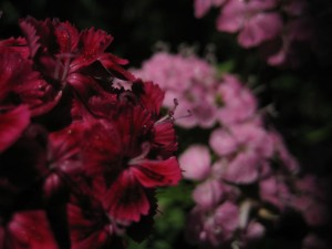 img_0457