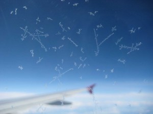 3-img_0197